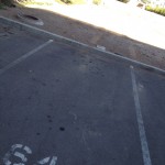 IMG_0006